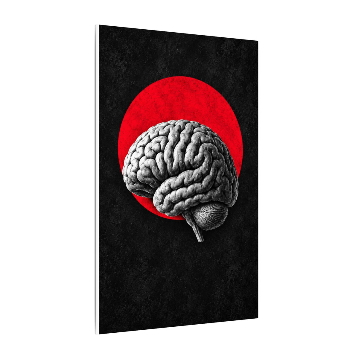 Cerebral Contour - Doctor's Office Wall Art | Canvas