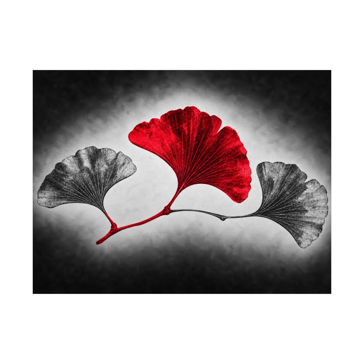 Ginkgo Interval - Doctor's Office Wall Art | Matte Poster (Landscape)