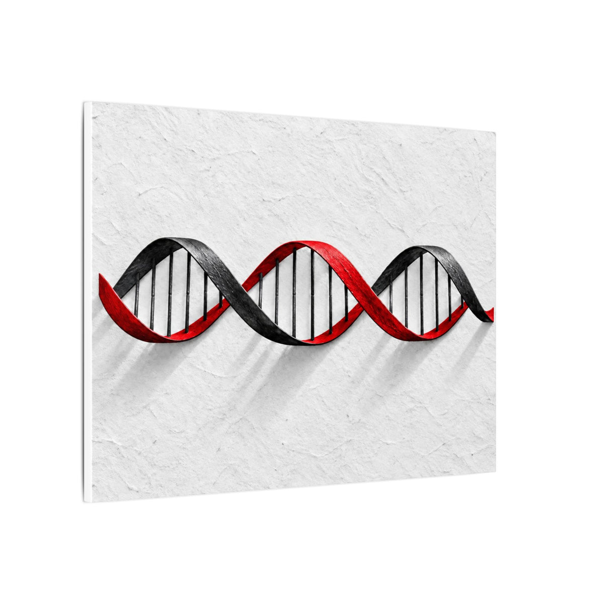 Woven Code - Doctor's Office Wall Art | Canvas (Landscape)