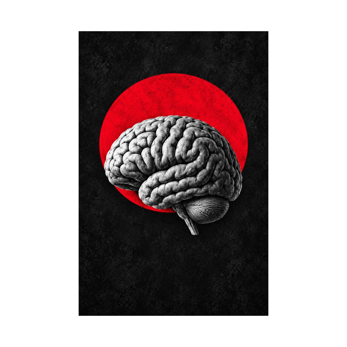 Cerebral Contour - Doctor's Office Wall Art | Matte Poster