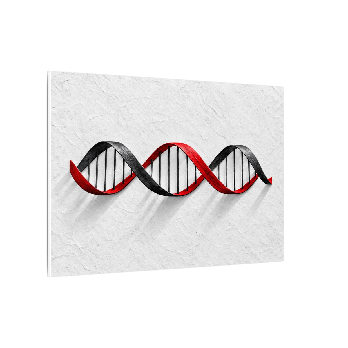 Woven Code - Doctor's Office Wall Art | Canvas (Landscape)