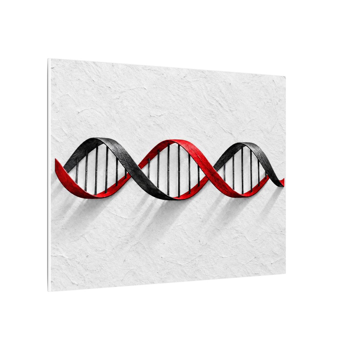 Woven Code - Doctor's Office Wall Art | Canvas (Landscape)