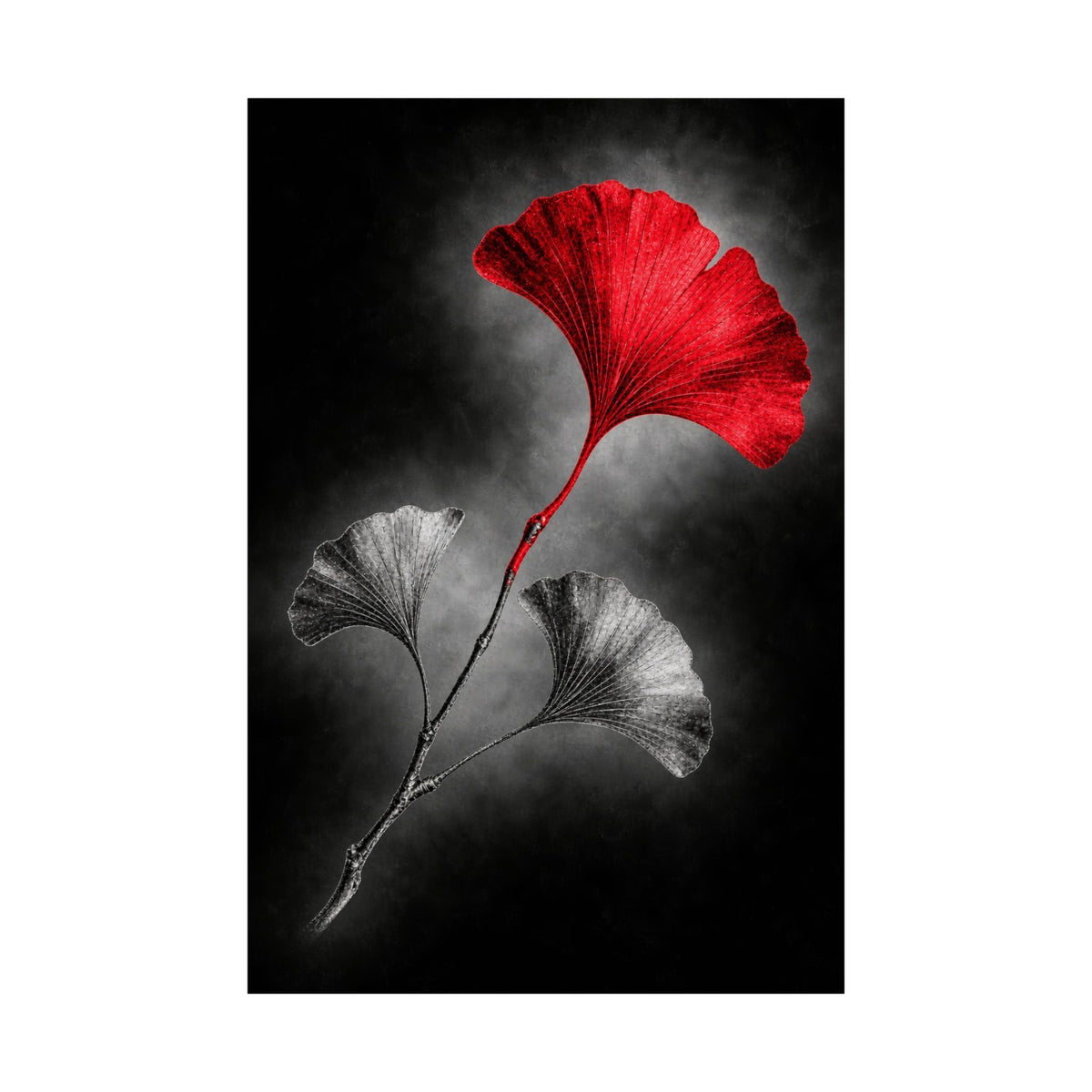 Ginkgo Interval - Doctor's Office Wall Art | Matte Poster