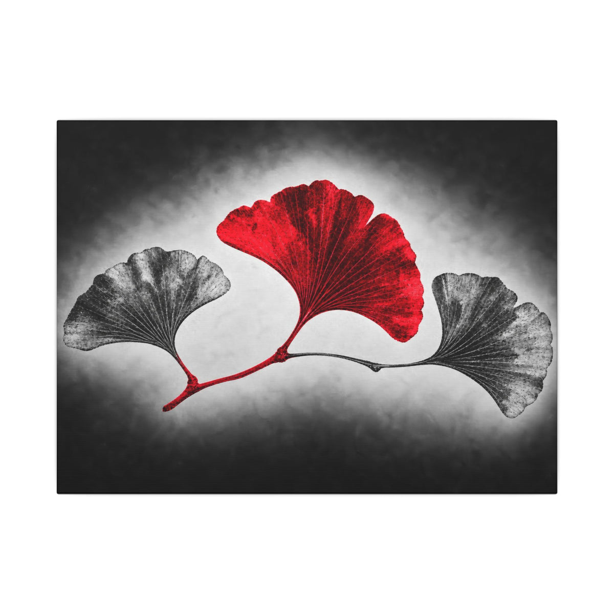 Ginkgo Interval - Doctor's Office Wall Art | Canvas (Landscape)