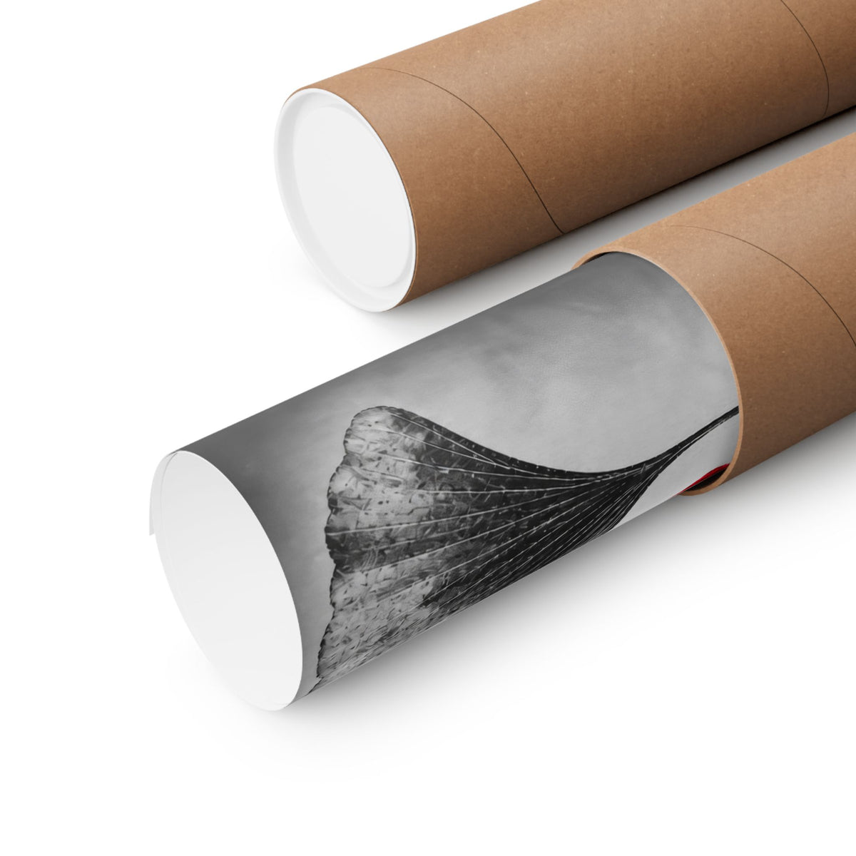 Ginkgo Interval - Doctor's Office Wall Art | Matte Poster (Landscape)