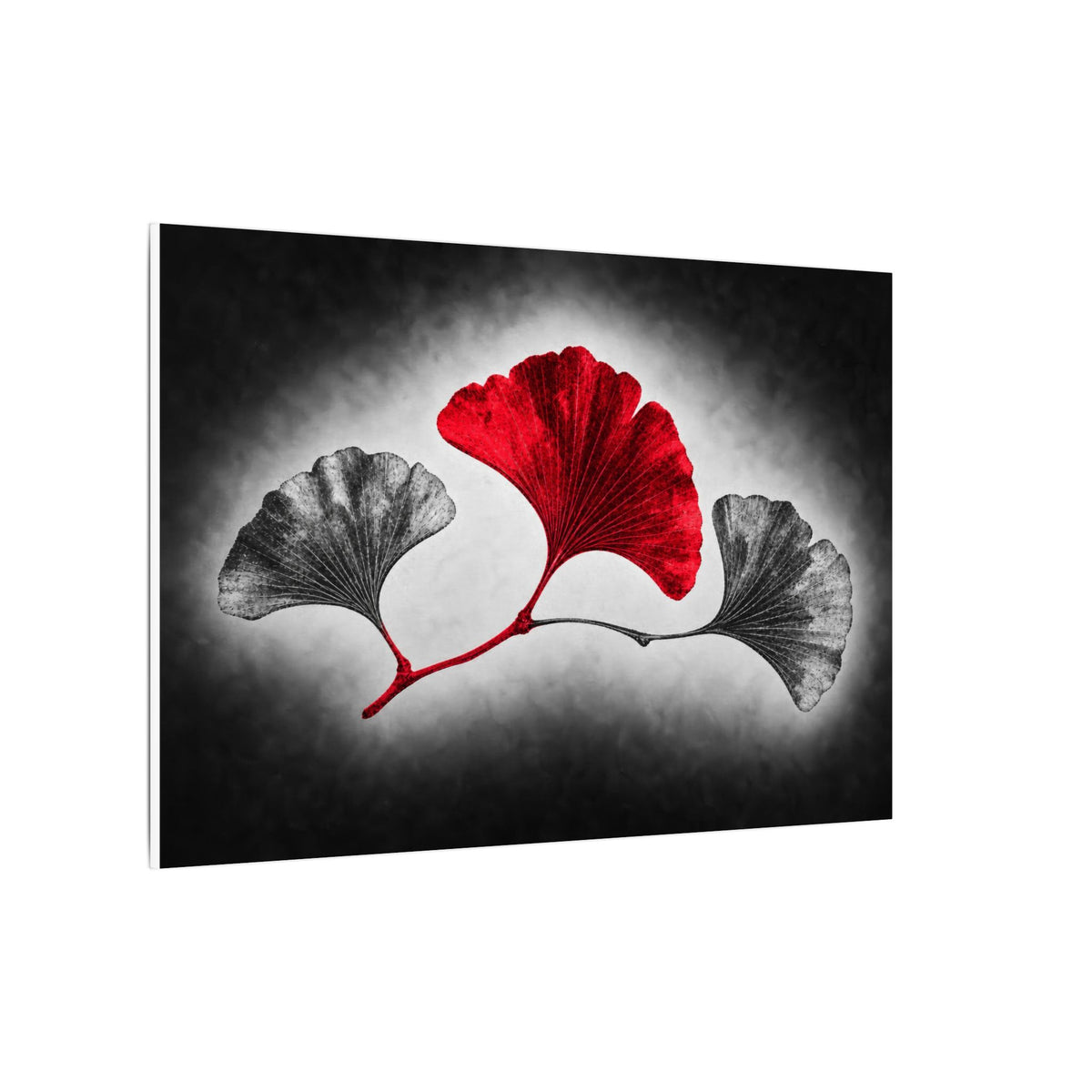 Ginkgo Interval - Doctor's Office Wall Art | Canvas (Landscape)