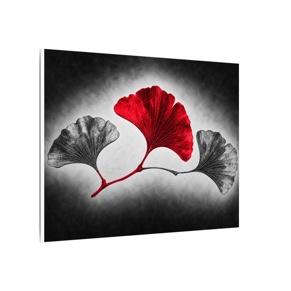 Ginkgo Interval - Doctor's Office Wall Art | Canvas (Landscape)