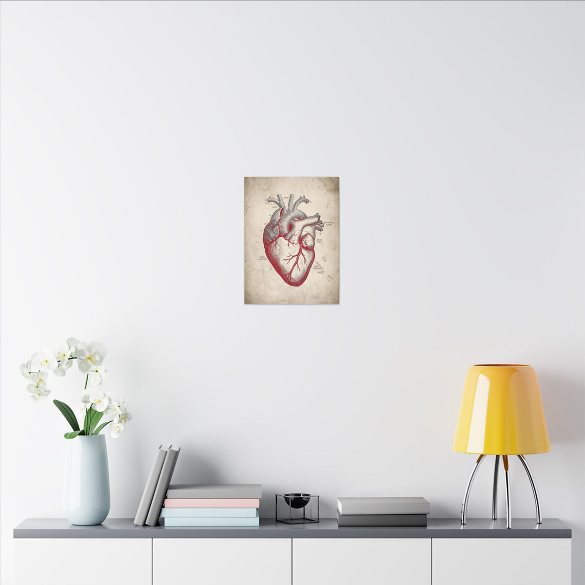 The Anatomical Heart - Wall Art For Doctor Office | Canvas