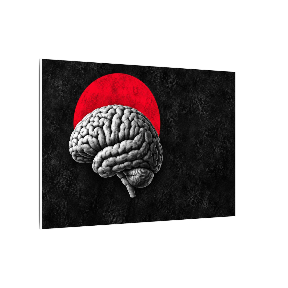 Cerebral Contour - Doctor's Office Wall Art | Canvas (Landscape)