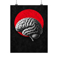 Cerebral Contour - Doctor's Office Wall Art | Matte Poster