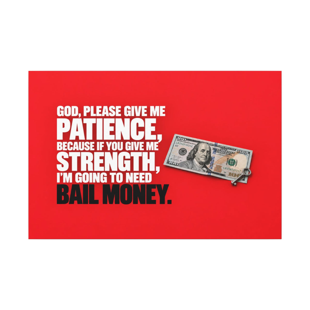 Bail Money - Meme Wall Art | Canvas (Landscape)