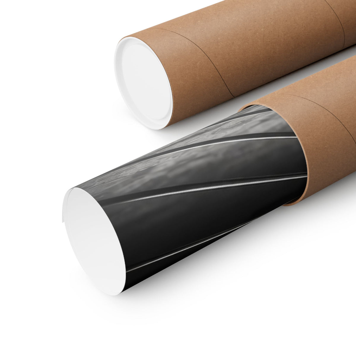 Tensile Field - Professional Office Wall Art | Matte Poster