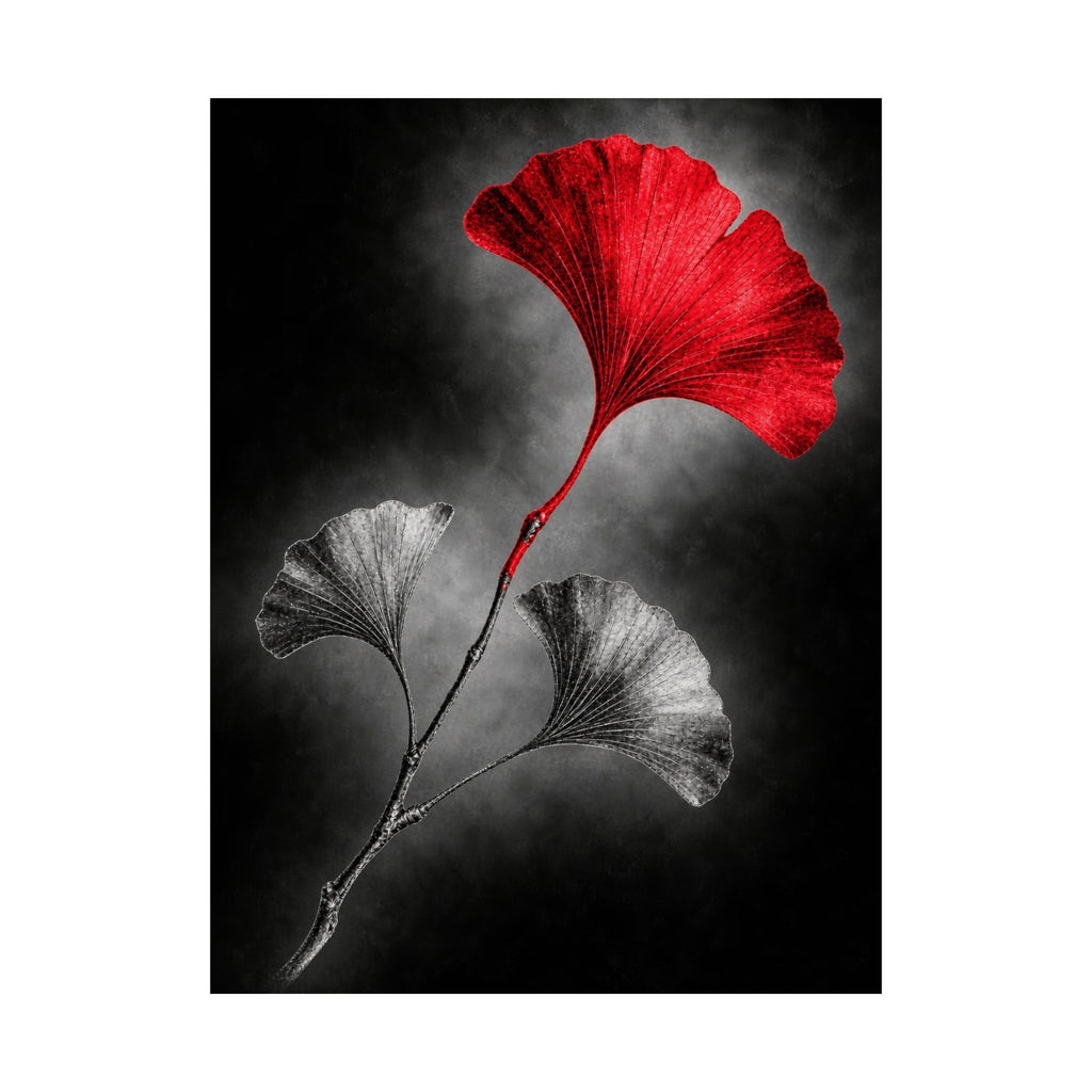 Ginkgo Interval - Doctor's Office Wall Art | Matte Poster