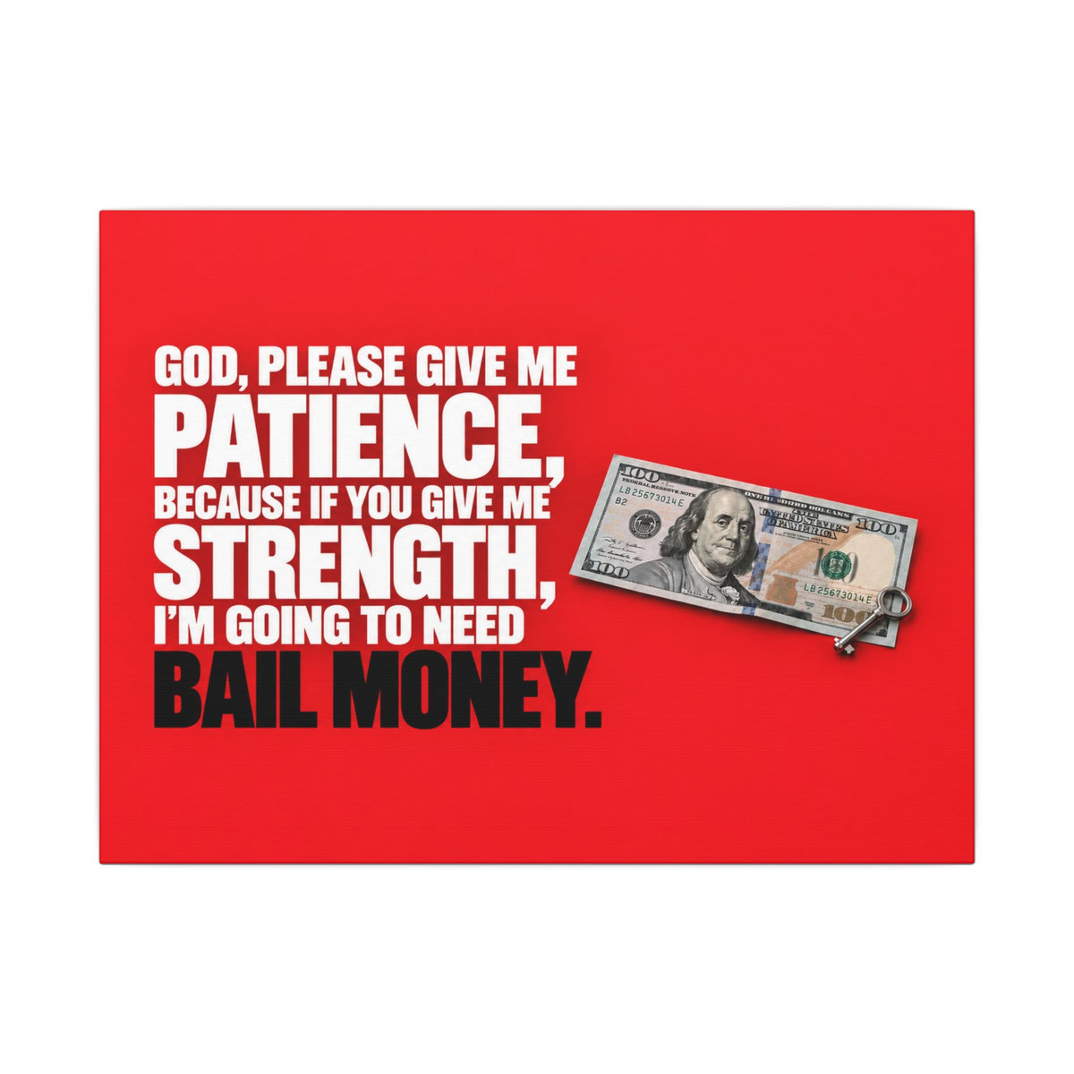 Bail Money - Meme Wall Art | Canvas (Landscape)