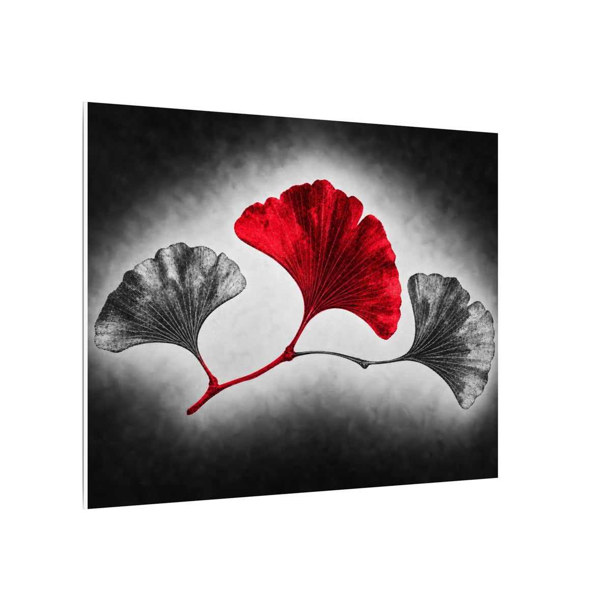 Ginkgo Interval - Doctor's Office Wall Art | Canvas (Landscape)