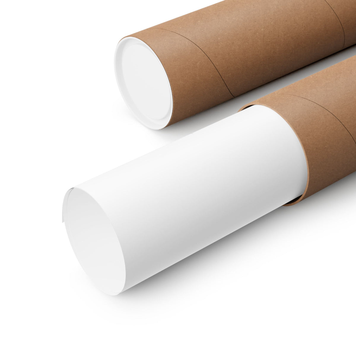 The Flock Went Left - Charcoal Wall Art | Matte Poster